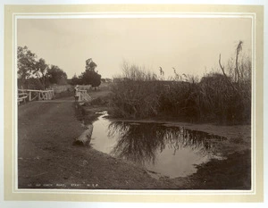 View of the Old Coach Road, Otaki