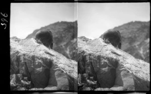A kea sitting on a rock, location unidentified