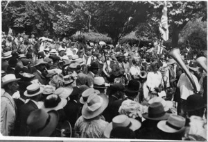 Creator unknown :Photograph of a crowd watching a procession along Arawa Street during the Roturua Carnival