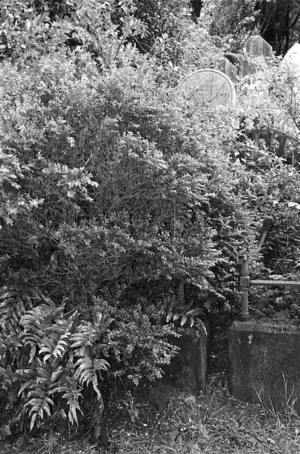 The grave of Agnes Macadam Davidson and Jane E Plimmer, plot 165.O, Sydney Street Cemetery