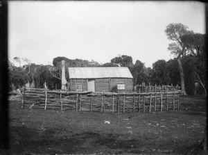 Tom McClurg's woolshed on Rangatira Island, Chatham Islands