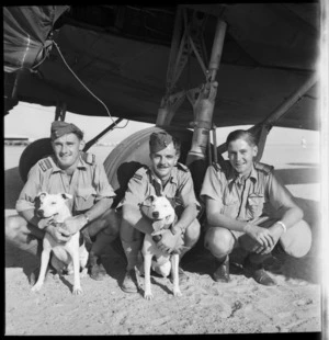 New Zealand Air Transport squadron of the Royal Air Force, and mascots, Egypt - Photograph taken by M D Elias