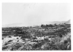 Landscape, with the township of Charleston in the distance