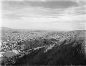 Overlooking the city of Wellington