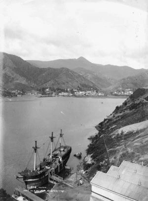 Muir and Moodie fl 1898-1916 (Photographer) : Picton Harbour