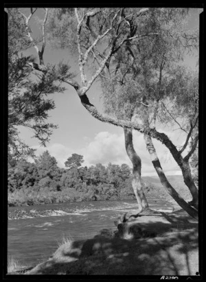 Duchess Pool, Tongariro River - Photograph taken by E P Christensen