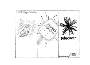 Developing a new logo - Telecom NZ. Broad branding! 13 January 2010