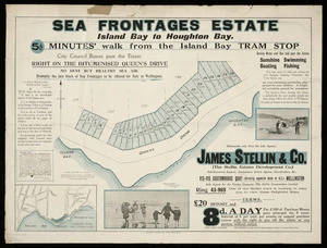 Sea Frontages Estate, Island Bay to Houghton Bay / surveyed by Beere & Seddon.