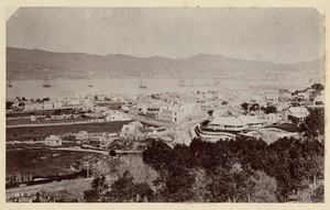 View of Thorndon and Wellington Harbour, New Zealand