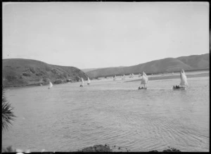 Porirua Harbour, Wellington region, with sail boats
