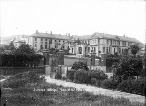 Wellington Hospital and entrance gates, Newtown