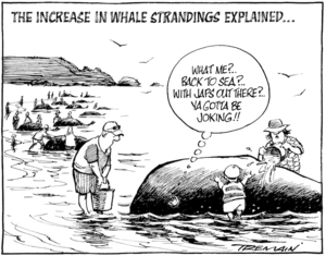 The increase in whale strandings explained... "What me? Back to sea? With the Japs out there? Ya gotta be joking!!" 10 January 2010