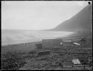 Beach scene at Sinclair Head, Wellington, with wreckage from the ship Penguin