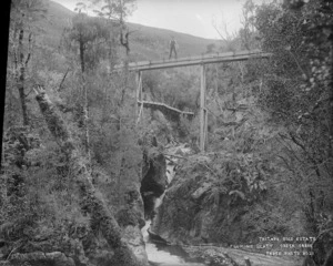 Scene at Slaty Creek Gorge, Taitapu Gold Estate, with fluming