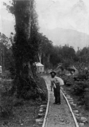 Man in the vicinity of the antimony mine, Queen Charlotte Sound