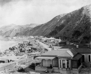 Houses in Karaka Bay, Wellington
