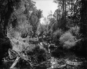 Native bush, West Wanganui Creek and boat, Tasman district