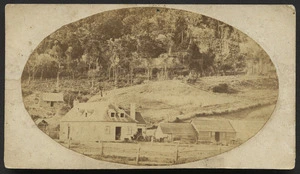 Richards, E S (Wellington) fl 1862-1873 :Photograph of a scene in Featherston