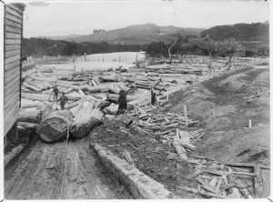 Logs being transported by water at the Union Box and Packing Case Company, Rawene