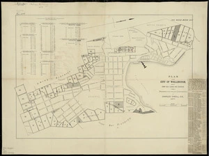 Plan of the city of Wellington, showing town belt leases & reserves / prepared for the City Corporation by Charles O'Neill.