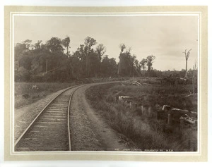 Wellington and Manawatu Railway line at Otaki