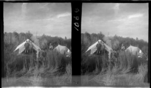 View of unidentified boys and a woman beside tents among dead Manuka trees, West Coast, South Island