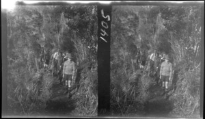Schoolboy outing, Alice Williams, an unidentified man and children on an unknown forest track, [West Coast?], South Island
