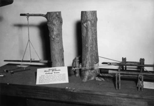 Display at the Wanganui Museum to show traditional methods of Maori tree felling