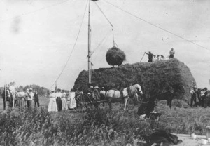 Haymaking at Morison's, Ngaere, Taranaki