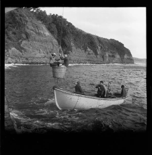 Wicker basket with two soldiers being lowered to waiting boat, Raoul Island, Kermadec Islands