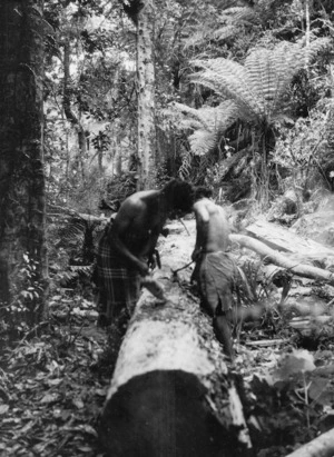 Felled tree in native bush, with two unidentified Maori alongside
