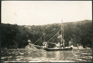 Yacht Viking at anchor in Astrolabe Roadstead