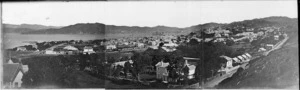 Bragge, James, 1833?-1908 :Photograph of Thorndon and Wellington Harbour, Wellington