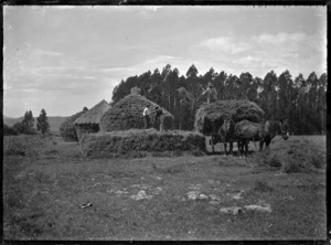 Stacking hay into thatched circular haystacks at Mendip Hills sheep farm, Hurunui District.