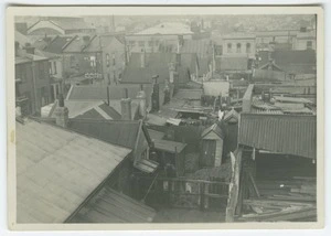 Rear of houses in Te Aro Flat, Wellington