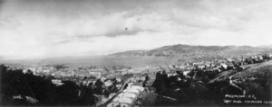 View from Kelburn, looking across Wellington City