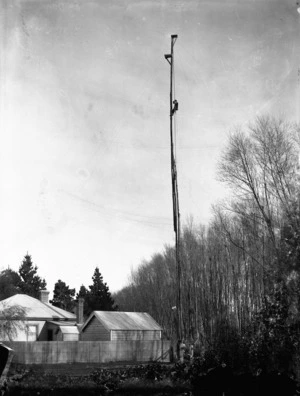 Melvin Vaniman climbing a pole to take a photograph, Belfast, Canterbury