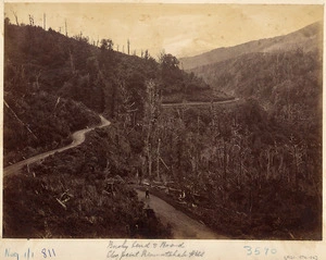 Bushy bend and road, Clay Point, Rimutaka Hill