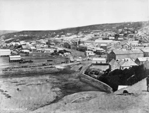 Dunedin city from Bell Hill