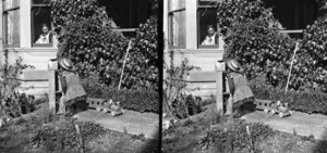 Edgar Williams playing in the garden outside his parents' house Viewbank on Maitland Street, Dunedin