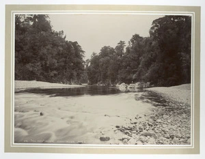 Scene on the Otaki River