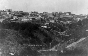 Houses and streets, Northland, Wellington