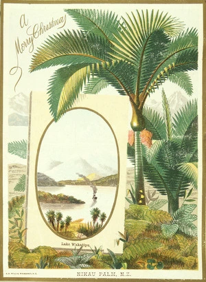 Willis, Archibald Duddington (Firm) :Nikau Palm, N. Z. A merry Christmas. Wanganui ; A.D. Willis, [ca. 1886].