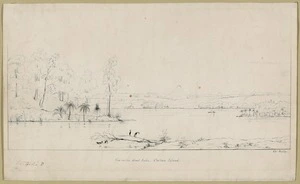 Heaphy, Charles, 1820-1881 :View on the Great Lake, Chatham Island. [1840]