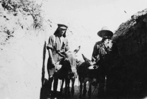 Soldiers with donkeys