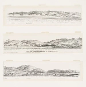 Nattrass, Luke, 1804-1875: City of Wellington, New Zealand. 1841. [W. Richardson lithographer from a sketch by L. Nattrass. 2nd edition]. Wellington, McKee & Gamble [ca 1890]