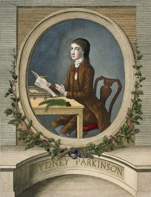 Newton, James, 1748-1804 :Sydney Parkinson. Jas Newton sculp. [London, 1784]