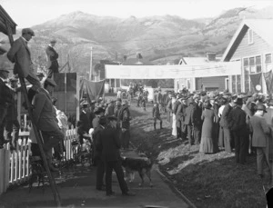 Akaroa