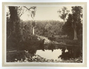 Ford across Waikawa River at Autahi swamp