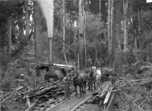 Scene in the bush, with horses pulling logs, and a steam log hauler
